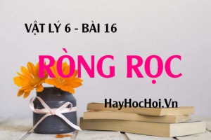 Ròng rọc là gì? Cấu tạo và Ứng dụng của ròng rọc - Vật lý 6 bài 16